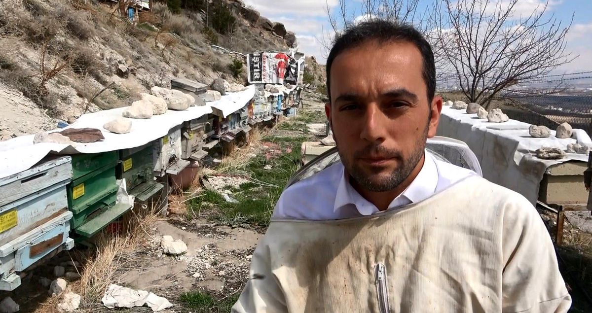 Arı yetiştiricilerinden çiftçilere \'ilaçlama\' uyarısı