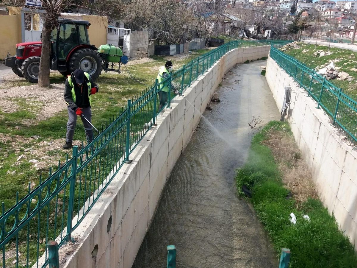 Besni\'de haşere ile mücadele başladı