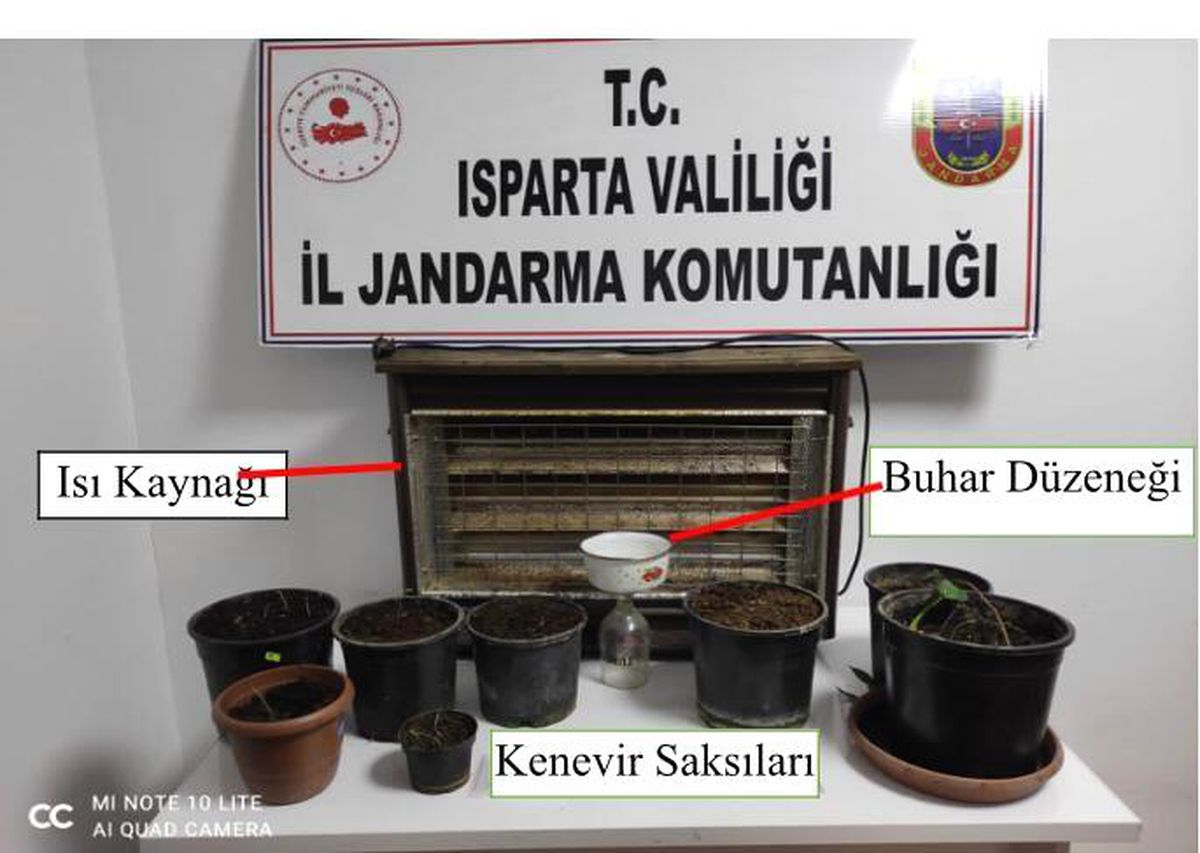 Evinde yapay ısı, ışık düzeneğiyle kenevir yetiştirdi, jandarma yakaladı