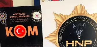 Hatay'da 156 tüp kobra zehri ele geçirildi