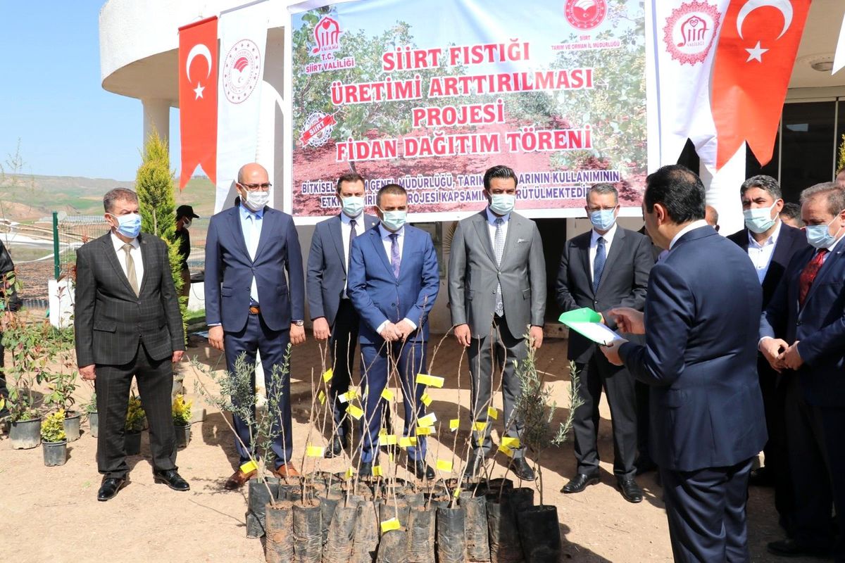 Siirt\'te 4 bin dekar fıstık bahçesi tesis edilecek