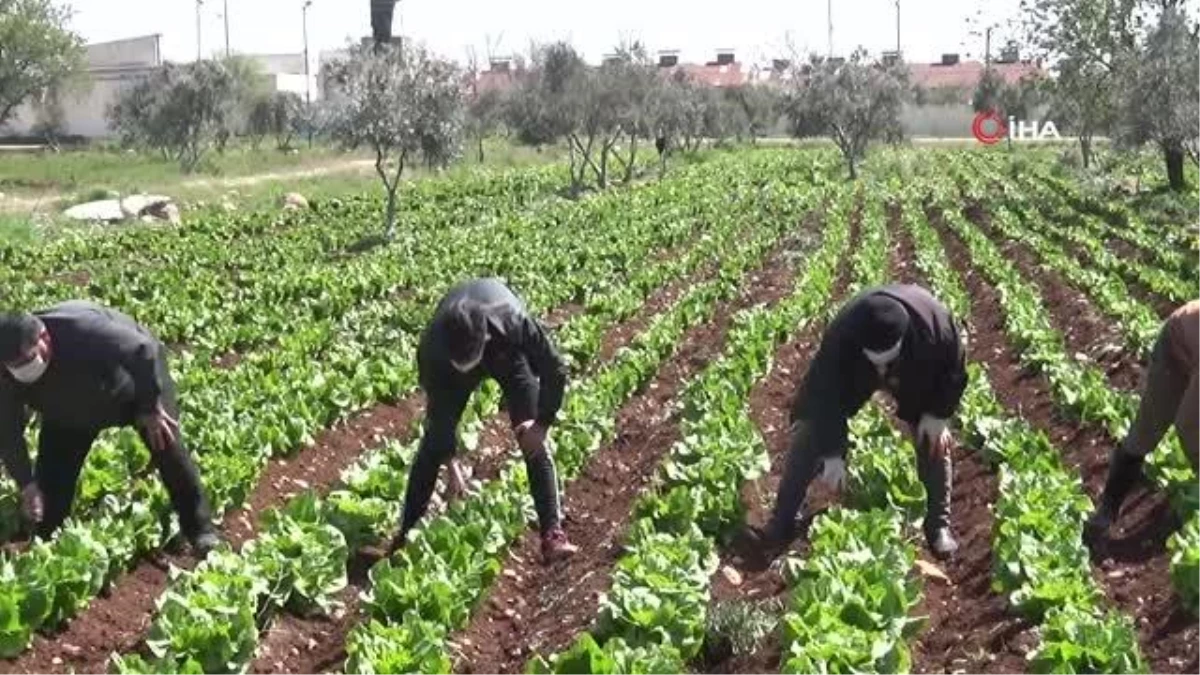 Sınır kentinde korona tedbirleri arttırılıyor