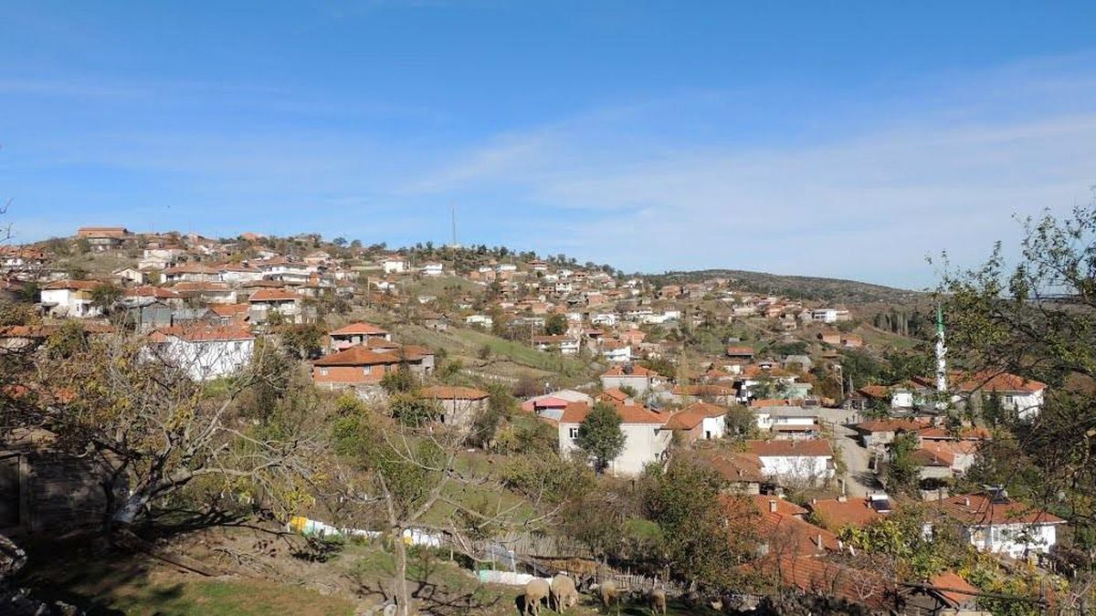 Yenice\'de bir köy karantinaya alındı