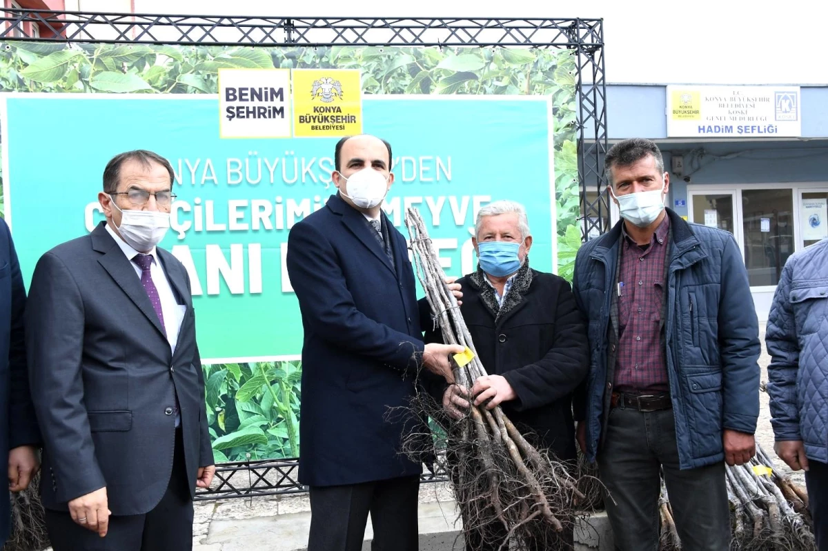 Konya Büyükşehir Belediye Başkanı Altay, Hadimli çiftçilere sertifikalı ceviz fidanı dağıttı
