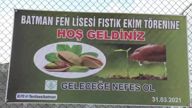 Bir okulun bahçesine fıstık fidanı dikildi