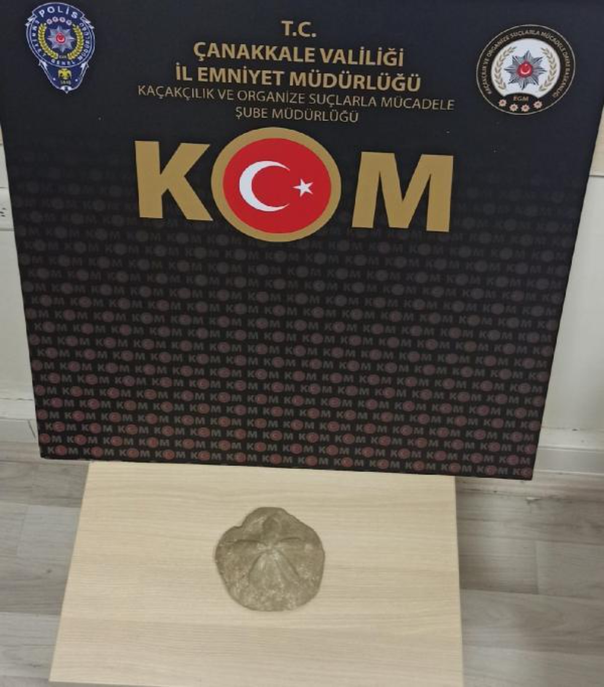 Çanakkale\'de bir iş yerinde deniz yıldızı fosili ele geçirildi