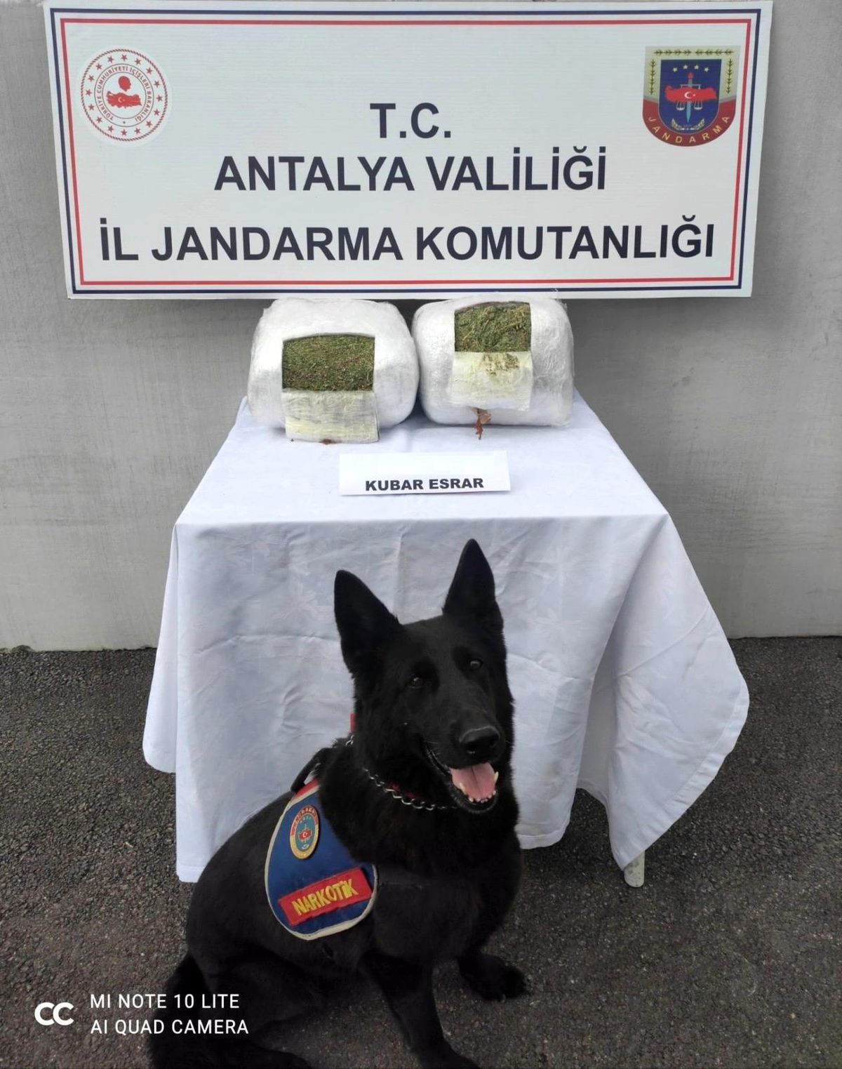 Son dakika haber! Jandarma yolcu valizinde 11 kilo esrar ele geçirdi