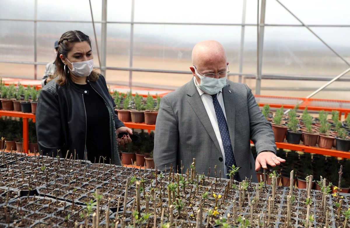 Menteşe Belediyesi bitkilerini kendi serasında üretiyor