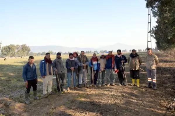 HATAY Meraları su altına kalan çobanlar, hayvanlarını otlatacak yer bulamıyor