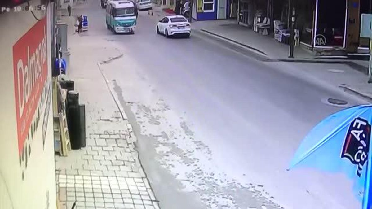 Minibüsün çarptığı köpek telef oldu