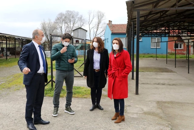 Mudanya'ya sokak hayvanları rehabilitasyon merkezi ve barınak