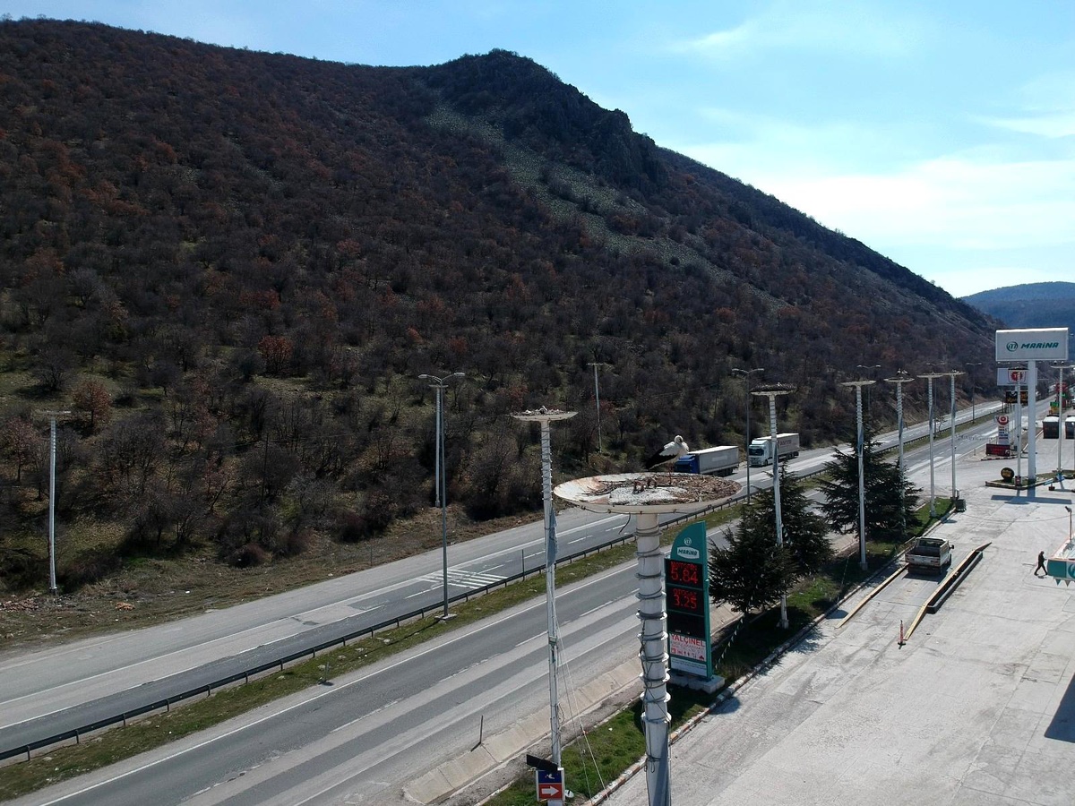 (Özel haber) "Leylek apartmanı" sakinlerine kavuştu