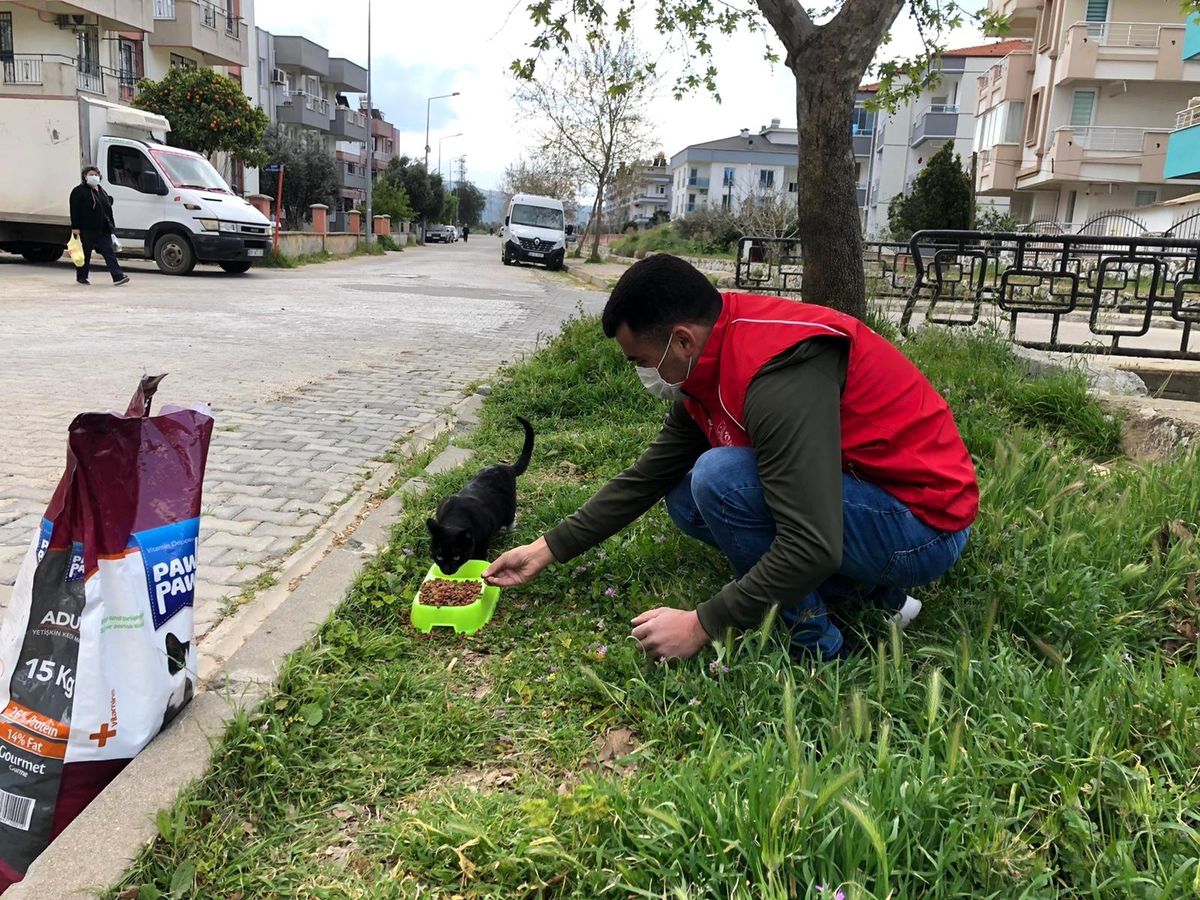 Sokak hayvanları için kuru mama dağıtıldı