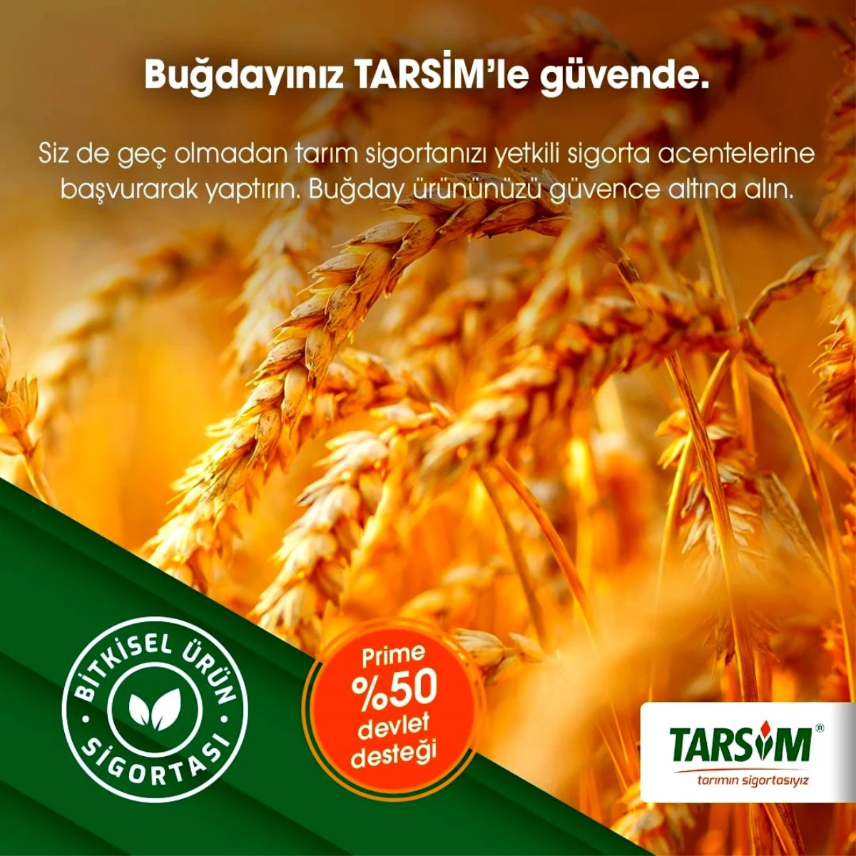 TARSİM: "Buğday ürününüz güvende"