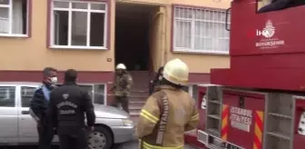 Üsküdar'da çıkan yangında muhabbet kuşu telef oldu