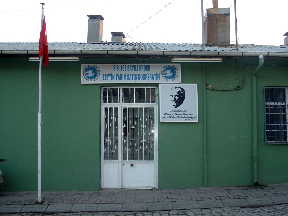 Zeytin Kooperatifi, üyelerine akaryakıt kartı dağıtıyor