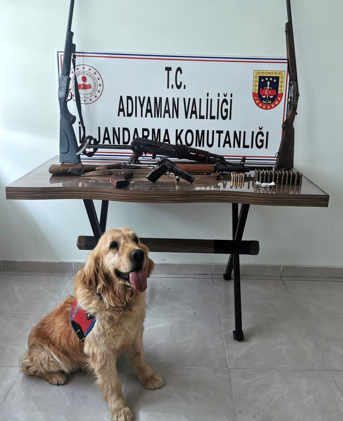 Adışaman\'da eş zamanlı silah operasyonu: 2 gözaltı
