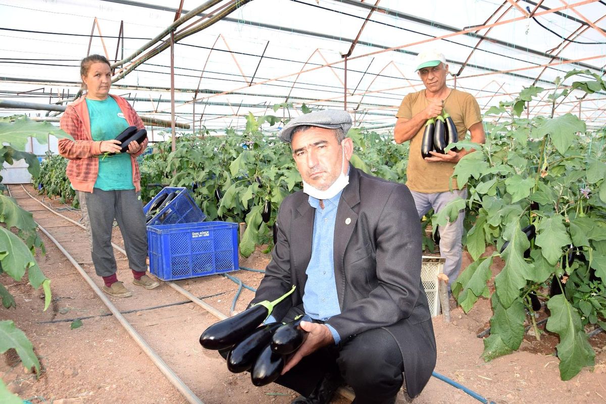Antalya halleri mart ayı domates, sebze ve meyve endeksi açıklandı