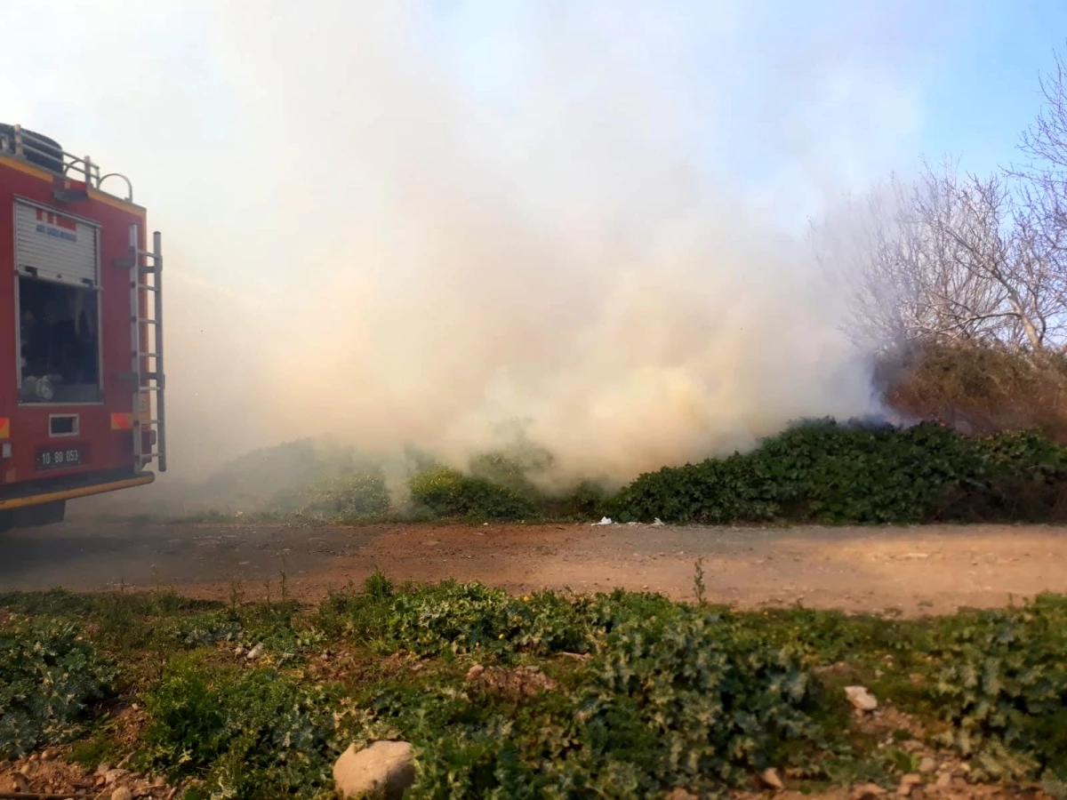 Son dakika: Burhaniye\'de arazi yangını