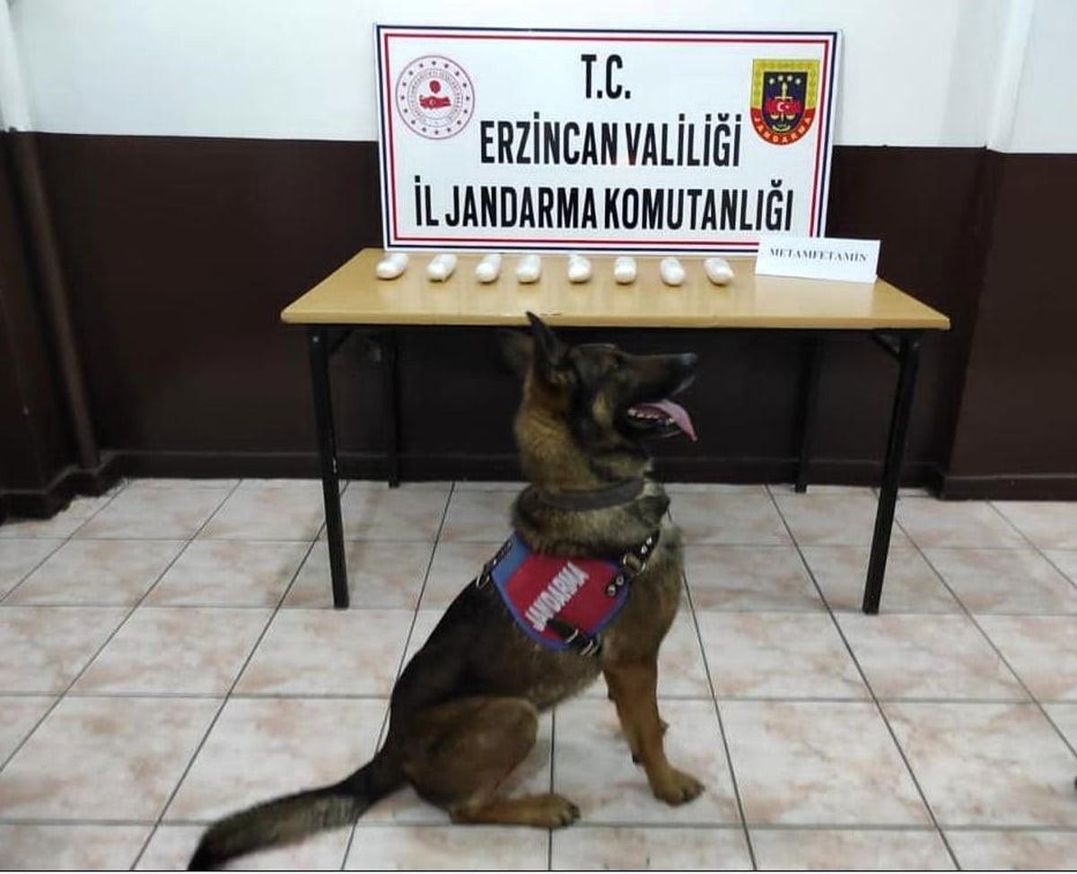 Son dakika haber... Erzincan\'da polis ve jandarmadan uyuşturucu operasyonu
