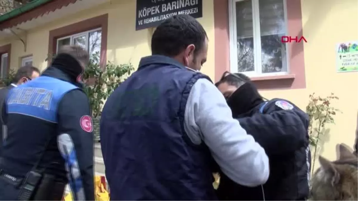 GAZİANTEP Çivili sopayla kediyi döveni mama bağışı şartıyla affetti