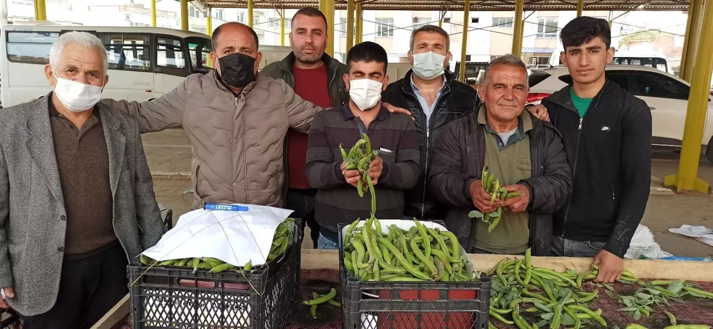 Geçen yıl pandeminin vurduğu baklayı bu yıl don vurdu