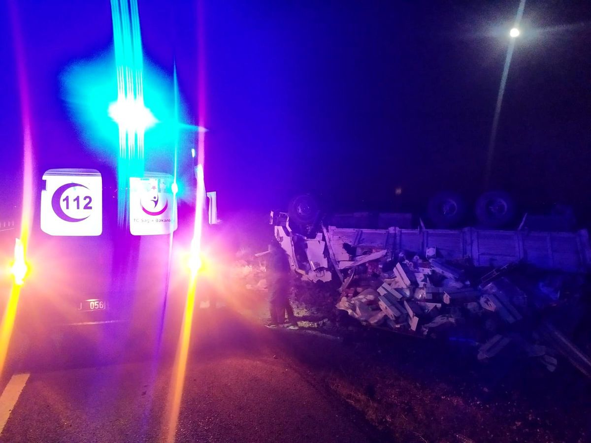 Köpeğe çarpmamak için kaza yaptı