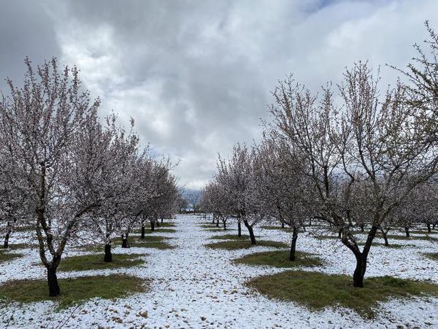 Mersin'de nisan ayında kar sürprizi! Görenler gözlerine inanamadı - Son Dakika