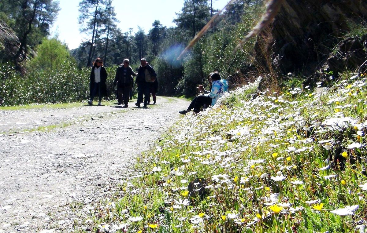 Muğla\'nın akciğerlerine ziyaretçi akını