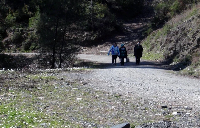 Muğla'nın akciğerlerine ziyaretçi akını