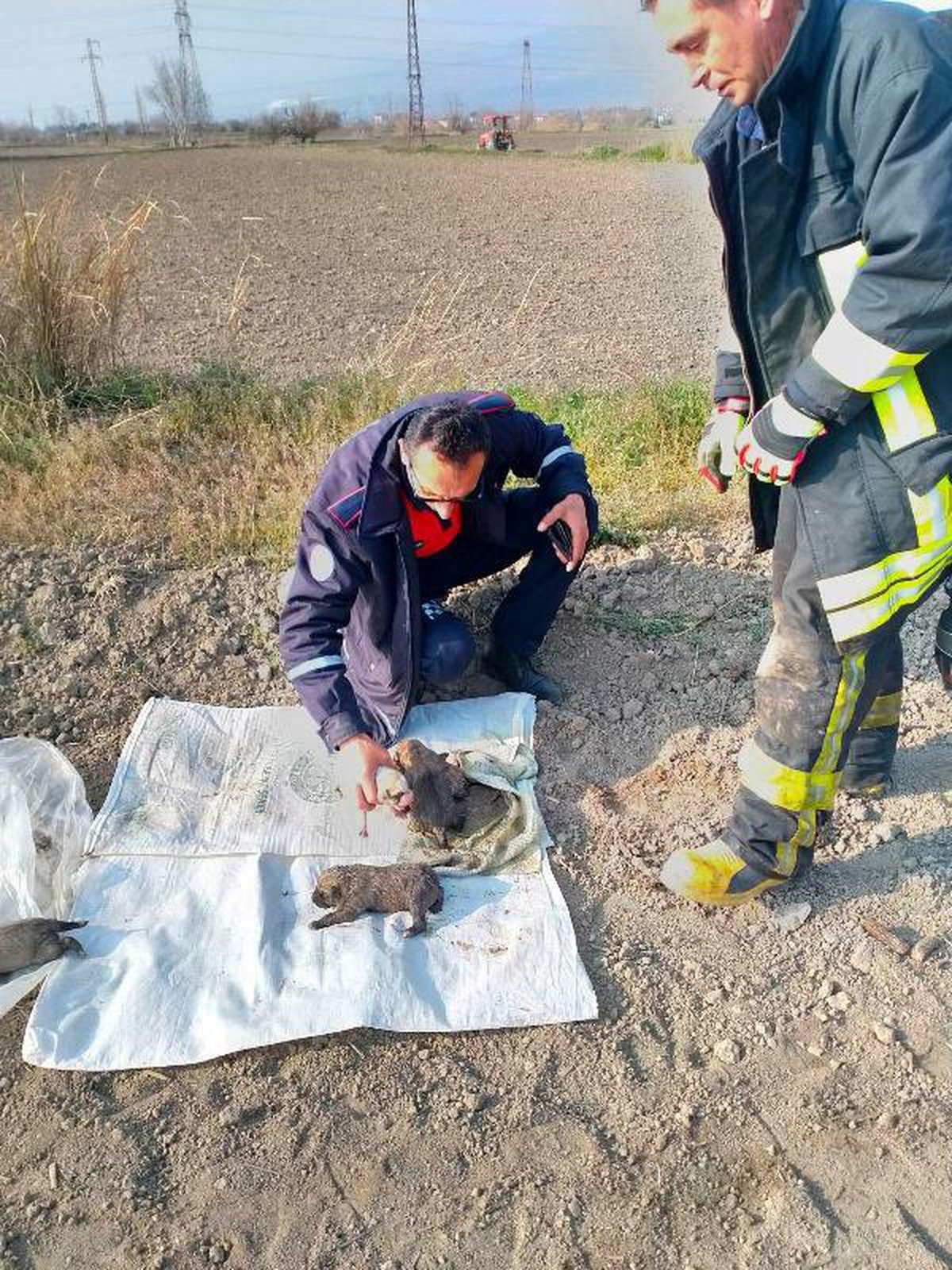 Sulama borusunda sıkışan 3 yavru köpeği itfaiye kurtardı