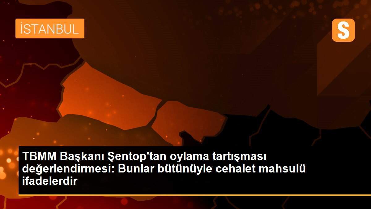 TBMM Başkanı Şentop\'tan oylama tartışması değerlendirmesi
