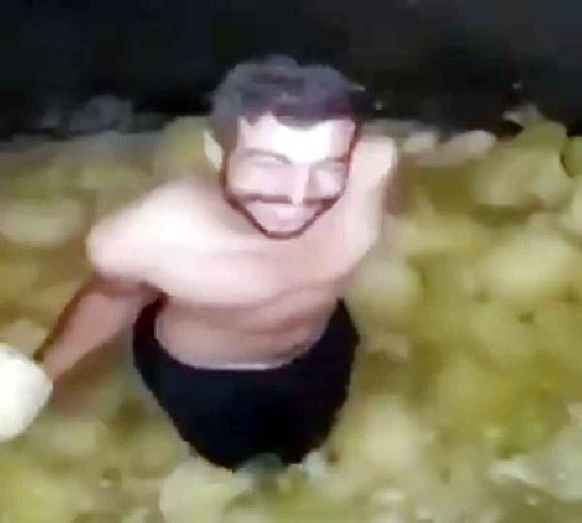 Turşu fabrikasındaki görüntüleri paylaşan kişi, serbest bırakıldı