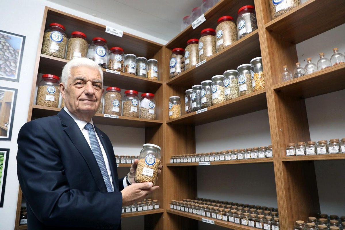 80 İl\'e 10 milyon yerel tohum gönderildi