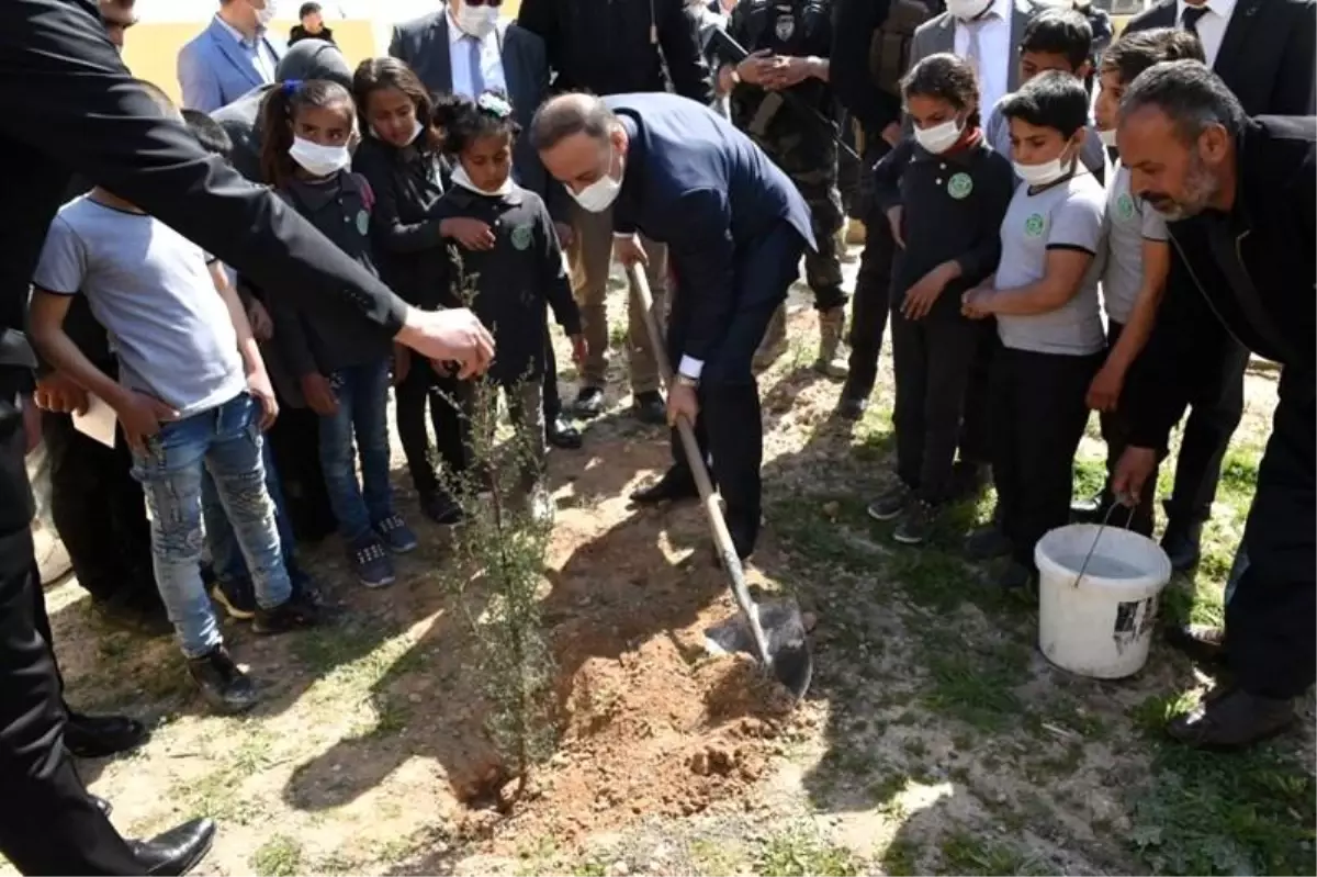 Barış Pınarı bölgesinde yüzler gülüyor