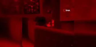 Bursa'da korona virüsü hiçe sayan kaçak meyhaneye baskın