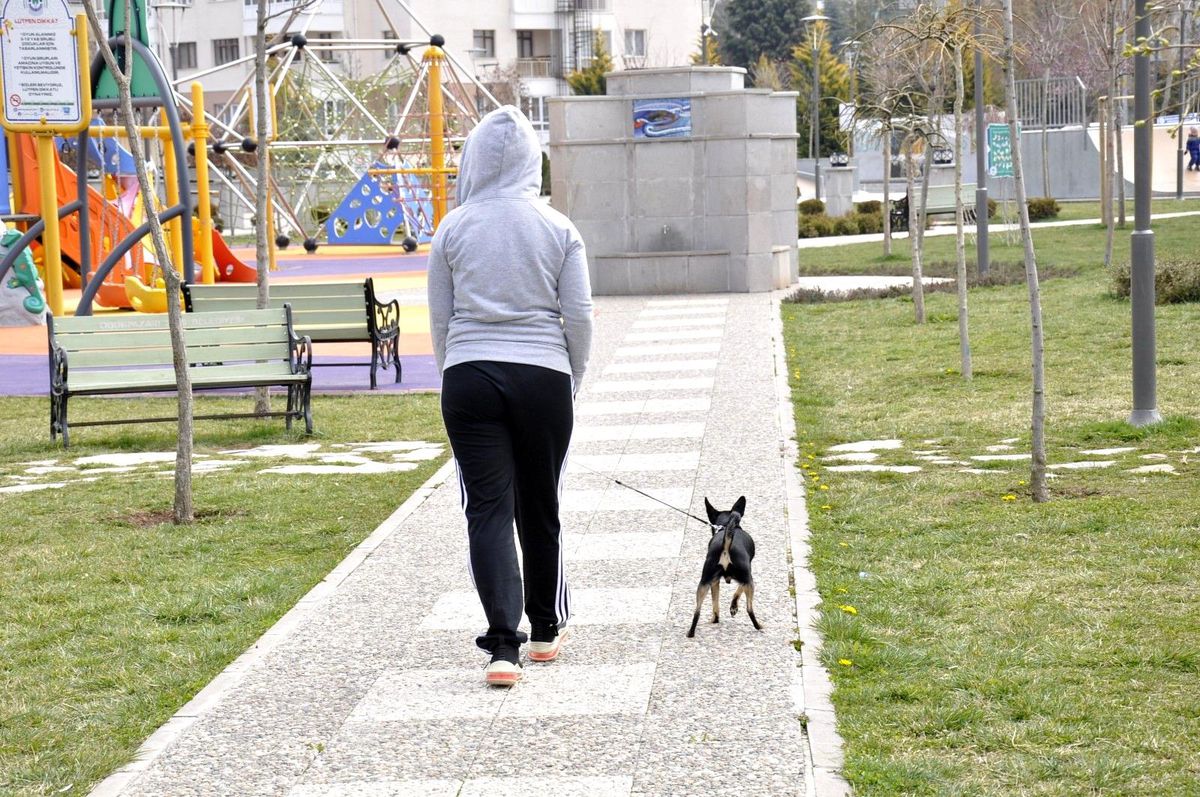 Son dakika haber... Hafta sonu parklar köpeklerini gezdiren vatandaşlara kaldı