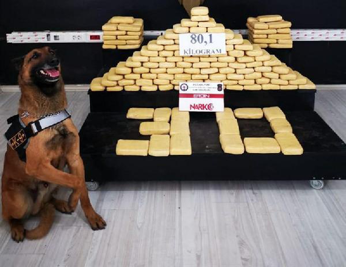 Kamyonetteki kasaların altına gizlenen 80 kilo eroini \'Ayzek\' buldu
