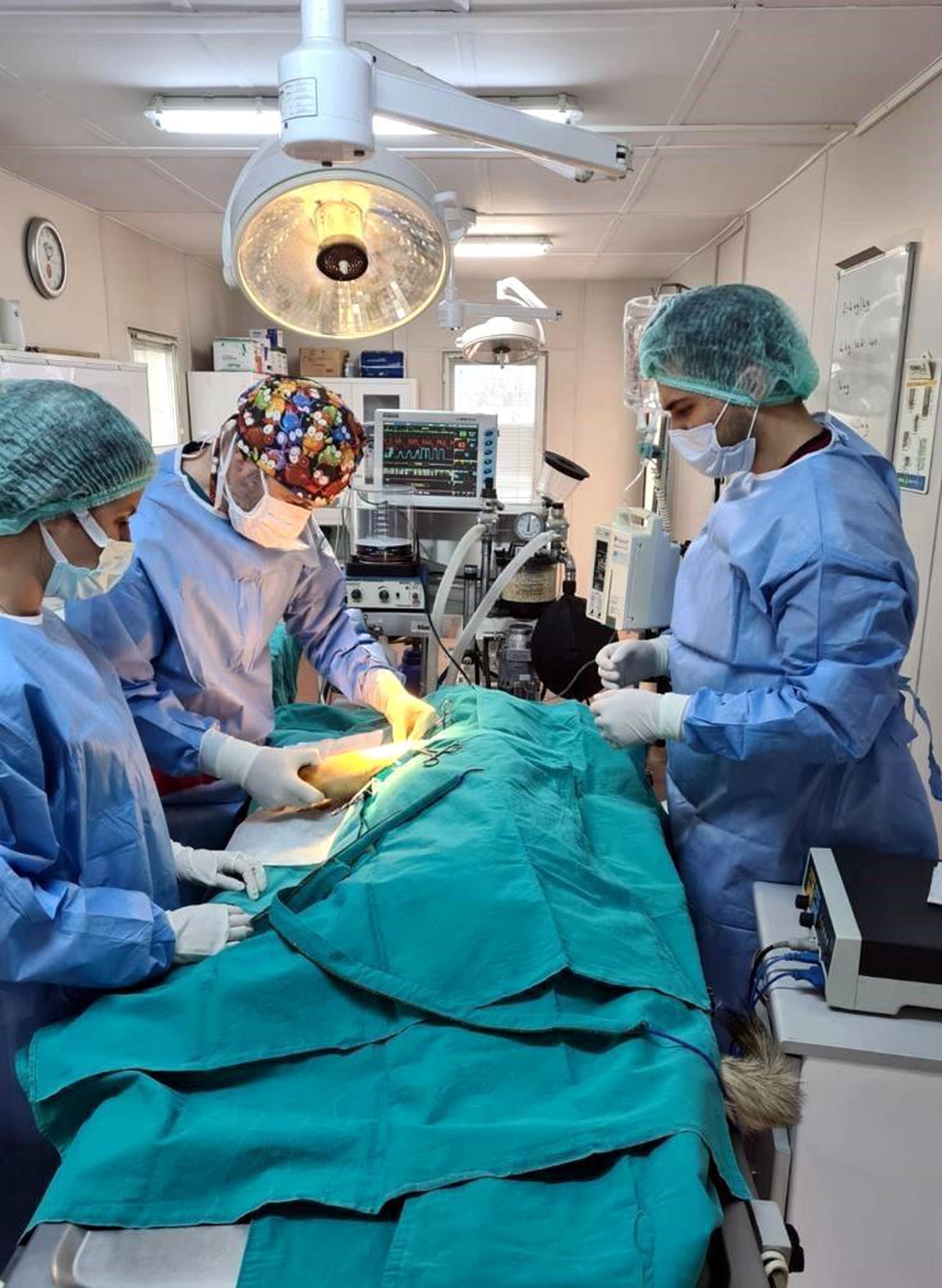 Anne köpek ve yavrularına Osmangazi şefkati