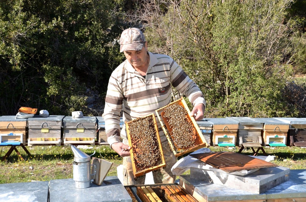 Antalya\'da arıcılar yeni sezona hazırlanıyor