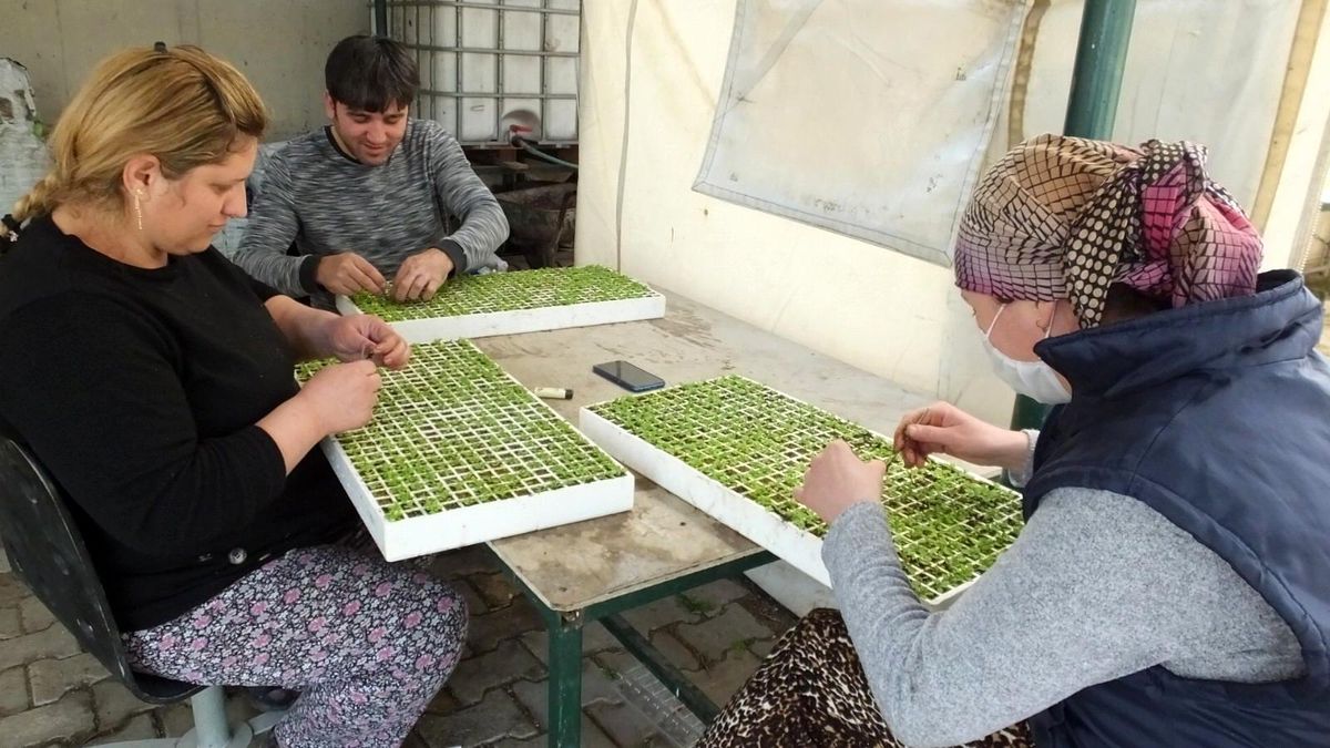 Balıkesir\'de sokağa çıkma sınırlaması üretime engel değil