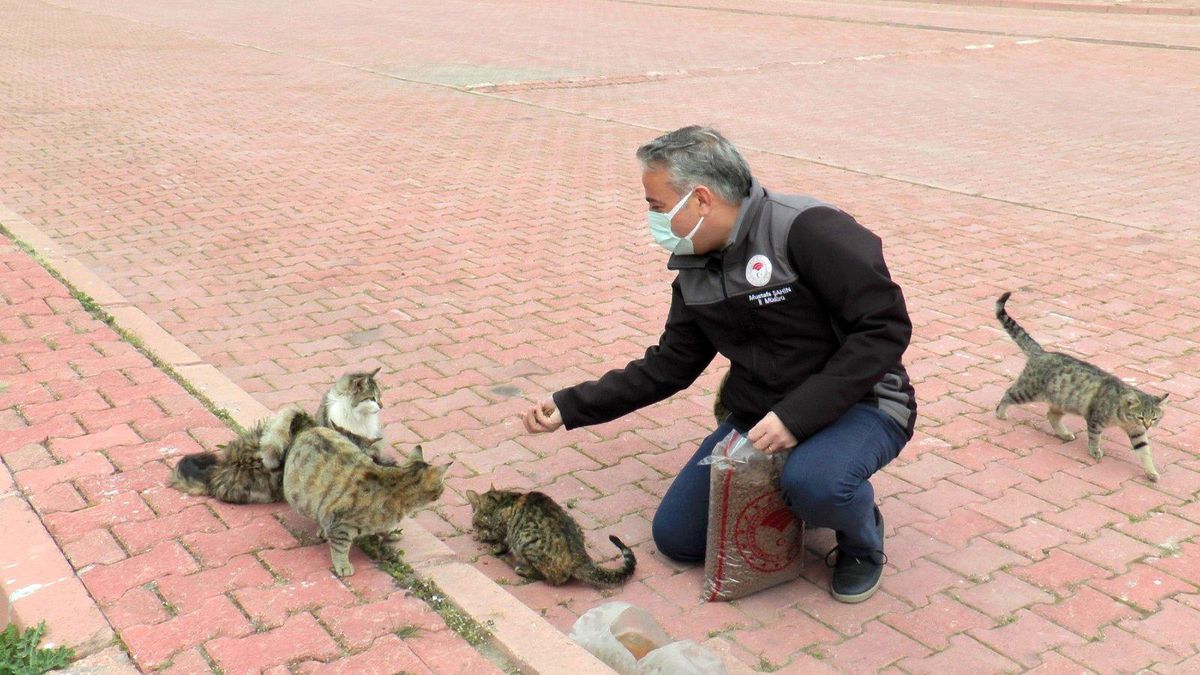 Kayseri İl Tarım ve Orman Müdürlüğü sokak hayvanları için yaşam alanlarına mama bıraktı