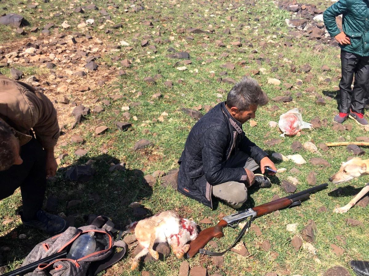 Kaçak avlanan şahıs yakalandı
