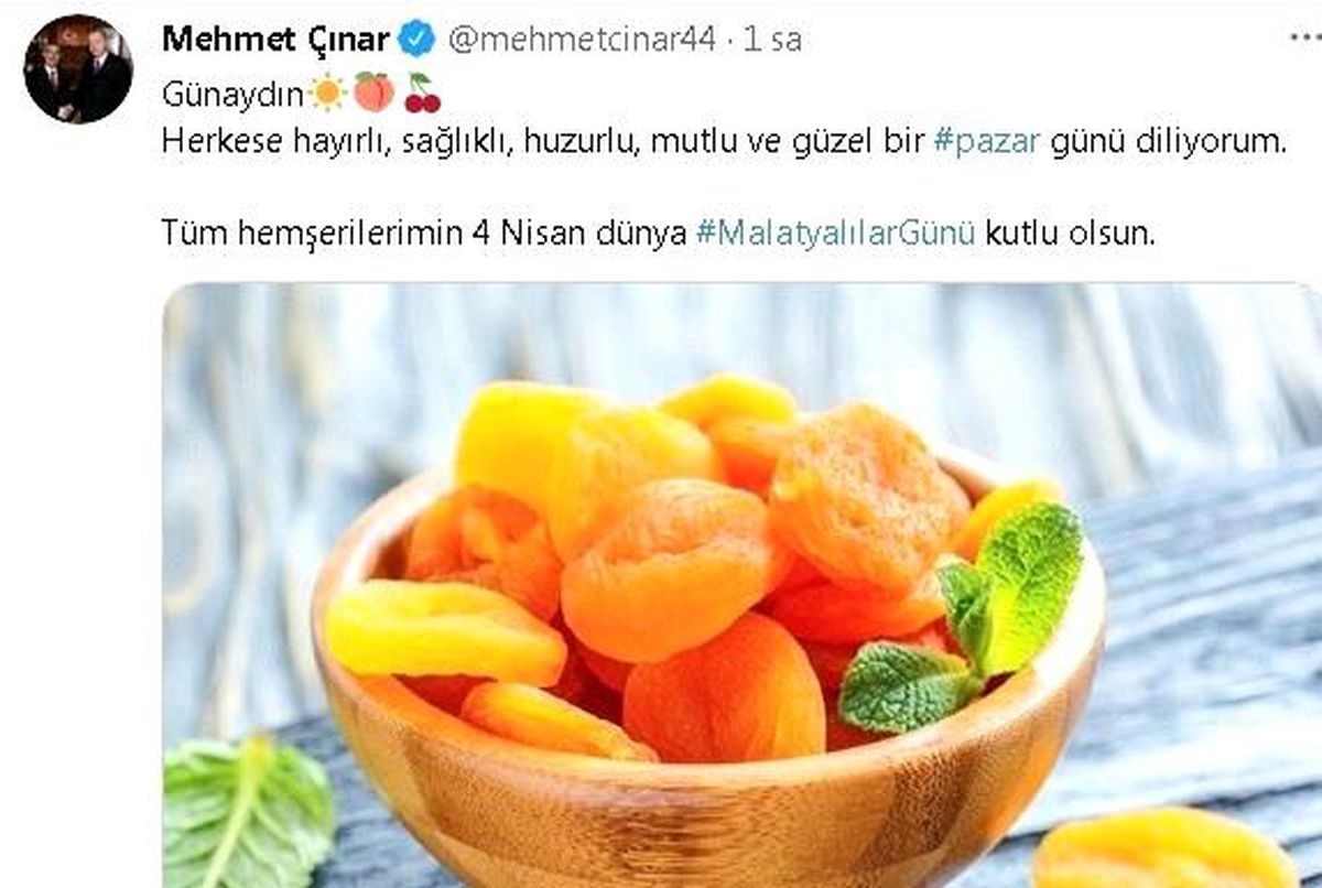 Malatyalılar günü kutlamaları sanalda