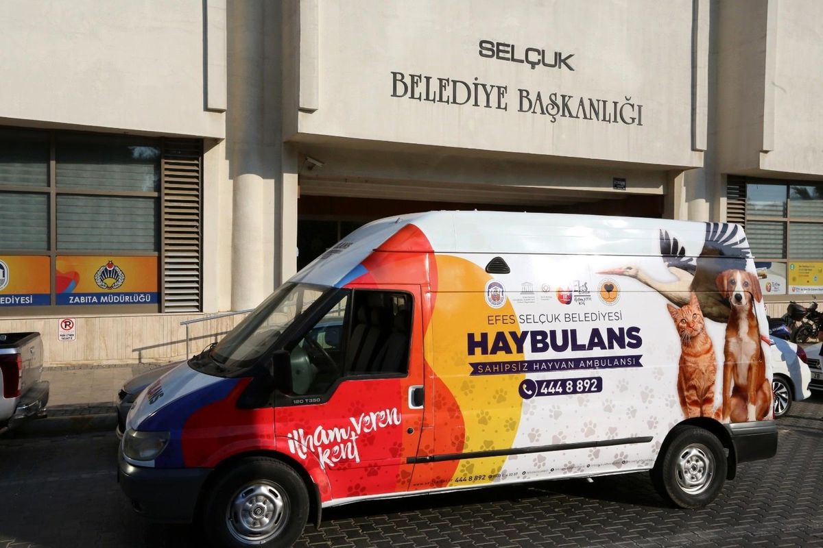 Selçuk Belediyesi pandemide sokak hayvanları yalnız bırakmadı