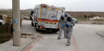 Taşınacakları evden keskin koku gelince pencereden atlayarak yardım istedi