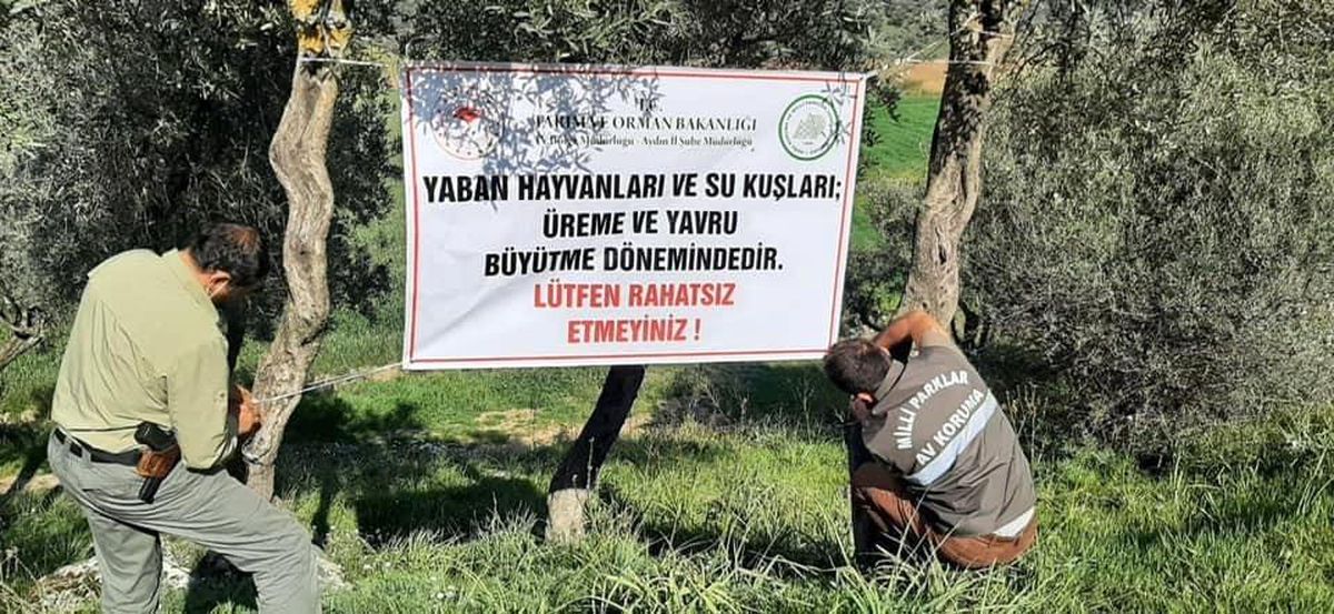 Üreme döneminde olan yaban hayvanları ve kuşlar için vatandaşları uyardılar