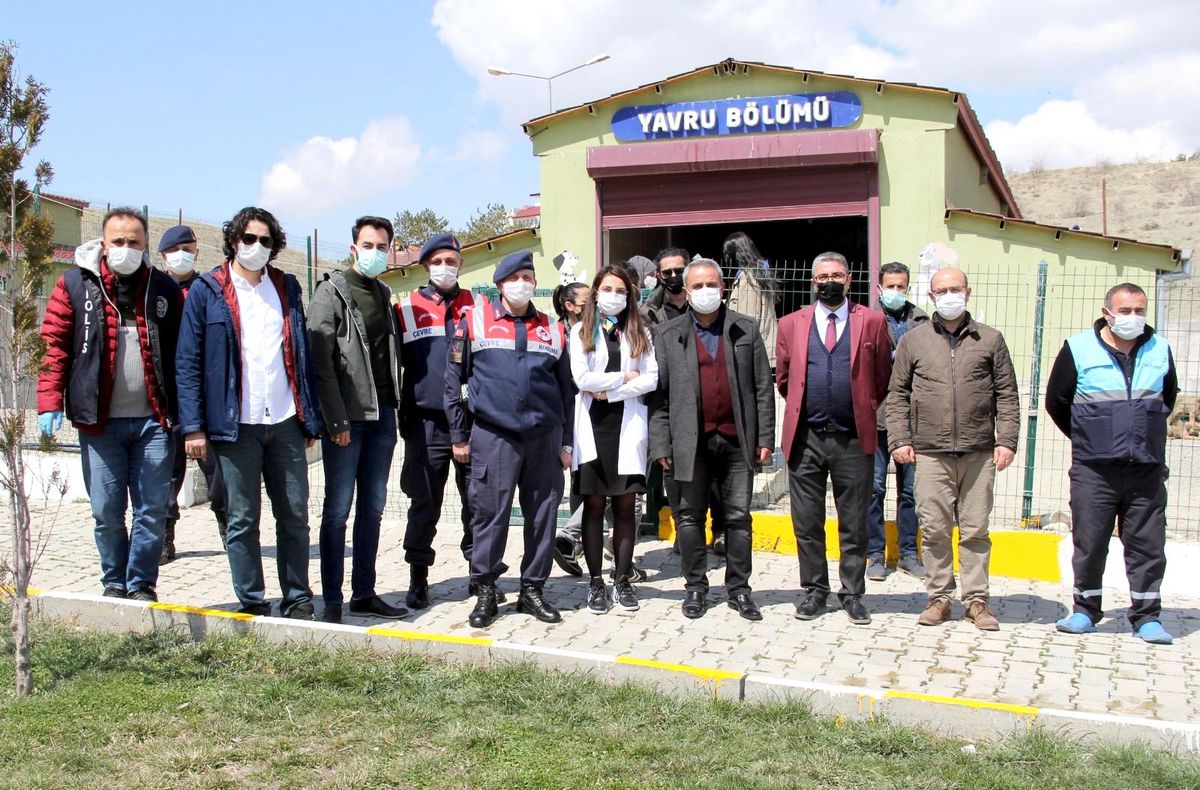 Van\'da \'Sokak Hayvanları Koruma Günü\' etkinliği