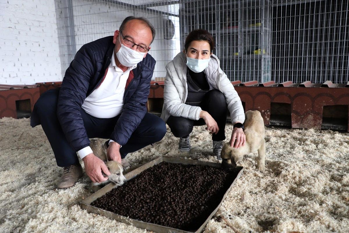 Başkan Akın\'dan \'Satın almayın, sahiplenin\' çağrısı