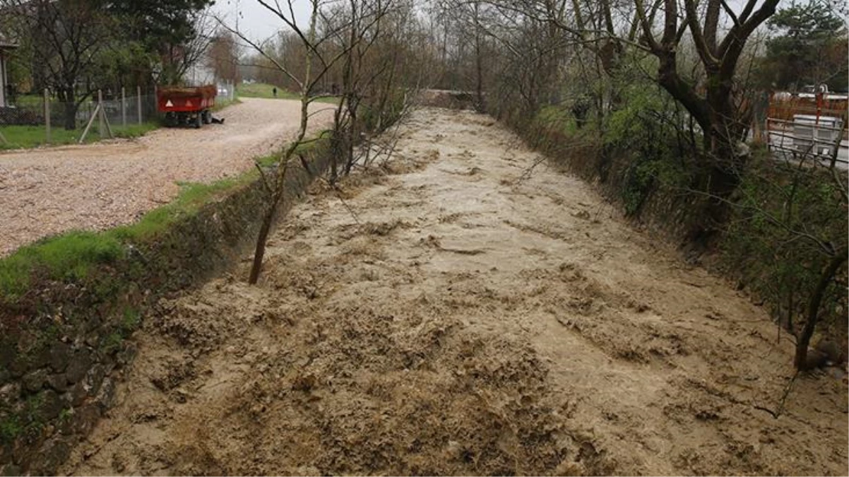 Bursa\'da taşan dere sele neden oldu! Ağaçlar yerinden söküldü, tarlalar sular altında kaldı